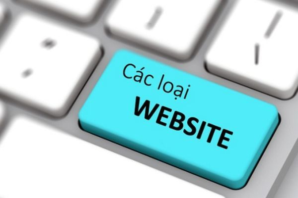 Có mấy loại trang web?