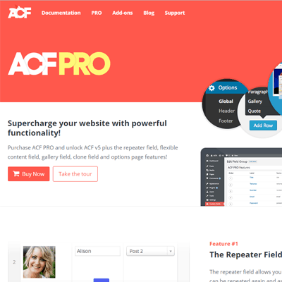 Advanced Custom Fields (ACF) Pro