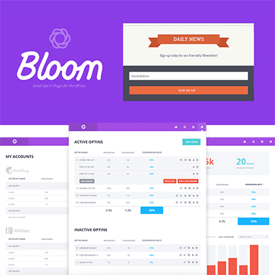 Elegant Themes – Bloom