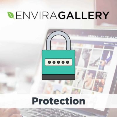 Envira Gallery Protection Addon