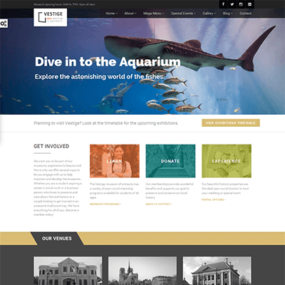 Vestige Museum – Responsive WordPress Theme