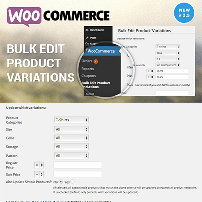 Woocommerce Bulk Edit Variable Products & Prices