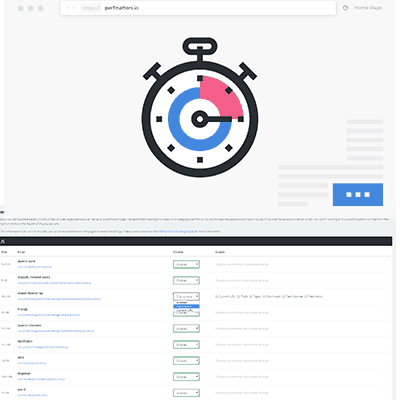 Perfmatters – Lightweight WordPress Performance Plugin